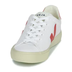 Veja - CAMPO CANVAS