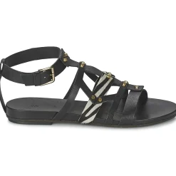 Vic - GINKO ACHANTUS