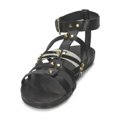 Vic - GINKO ACHANTUS