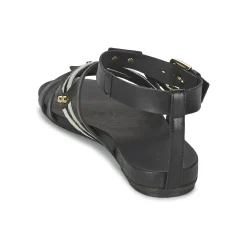 Vic - GINKO ACHANTUS