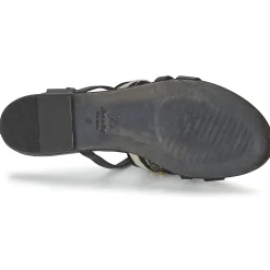 Vic - GINKO ACHANTUS