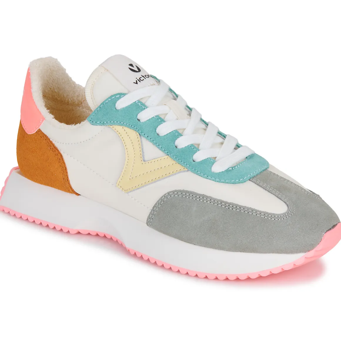 Victoria - COSMOS SERRAJE MULTICOLOR