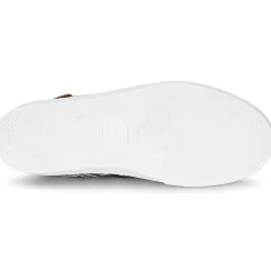 Victoria - INGLES ESTAP HOJAS TROPICAL