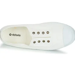 Victoria - INGLESA ELASTICO TINTADA