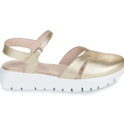 Wonders - A-2461-MAX-PLATINO