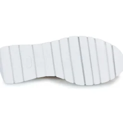 Wonders - A-2461-MAX-PLATINO