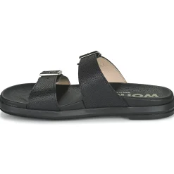 Wonders - B-7421-WILD