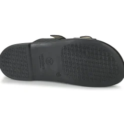 Wonders - B-7421-WILD