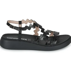 Wonders - C-6510-LACK