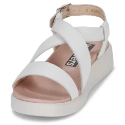 Wonders - C-6505-WILD