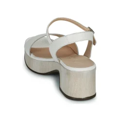 Wonders - D-8802-WILD