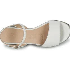 Wonders - D-8802-WILD