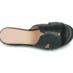 Wonders - D-8821-WILD