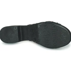 Wonders - D-8821-WILD