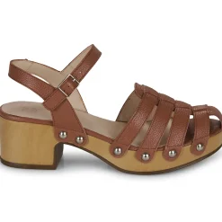 Wonders - D-9501-WILD