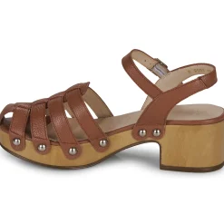 Wonders - D-9501-WILD