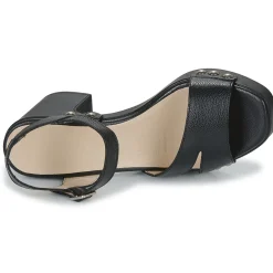 Wonders - L-1016-WILD