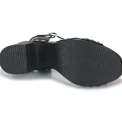 Wonders - L-1016-WILD